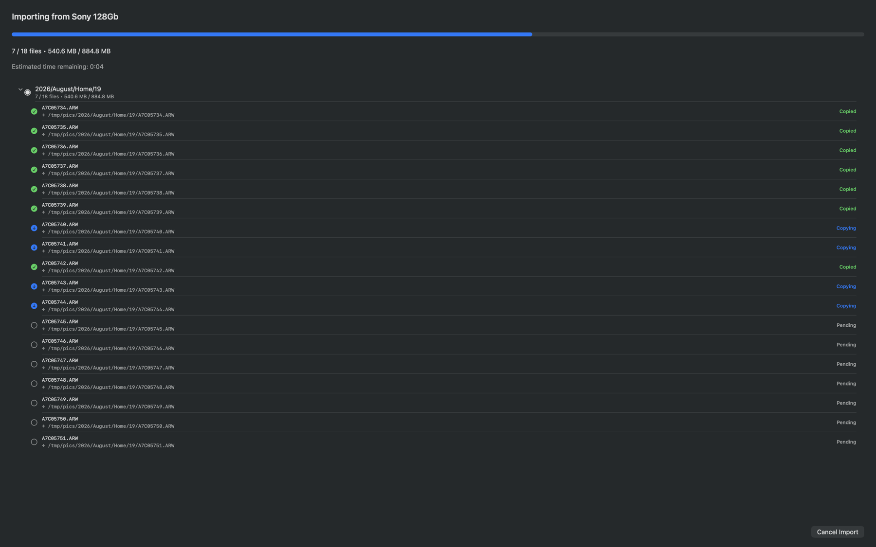Camera Raw Importer showing live per-file progress